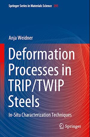 Deformation Processes in TRIP/TWIP Steels