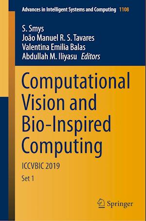 Computational Vision and Bio-Inspired Computing