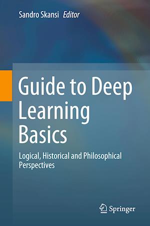 Guide to Deep Learning Basics