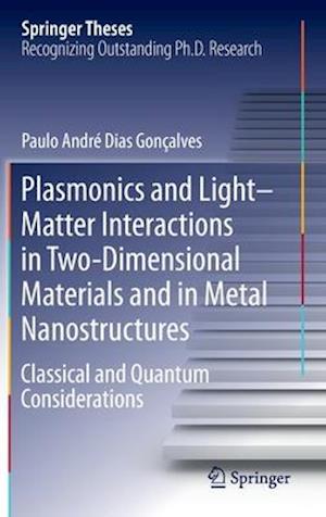 Plasmonics and Light–Matter Interactions in Two-Dimensional Materials and in Metal Nanostructures