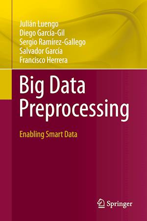 Big Data Preprocessing