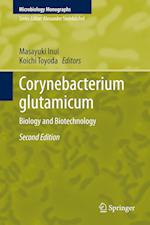 Corynebacterium glutamicum