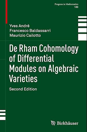 De Rham Cohomology of Differential Modules on Algebraic Varieties