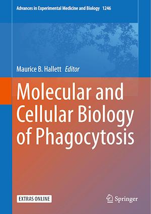 Molecular and Cellular Biology of Phagocytosis