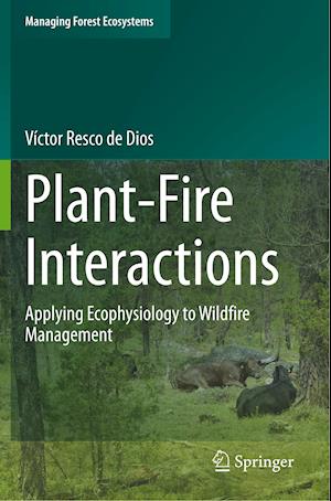 Plant-Fire Interactions