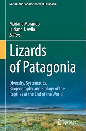 Lizards of Patagonia