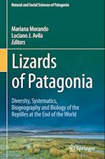 Lizards of Patagonia