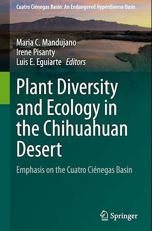 Plant Diversity and Ecology in the Chihuahuan Desert