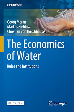 The Economics of Water