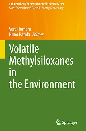 Volatile Methylsiloxanes in the Environment