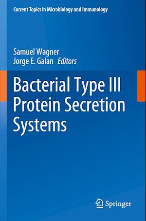 Bacterial Type III Protein Secretion Systems