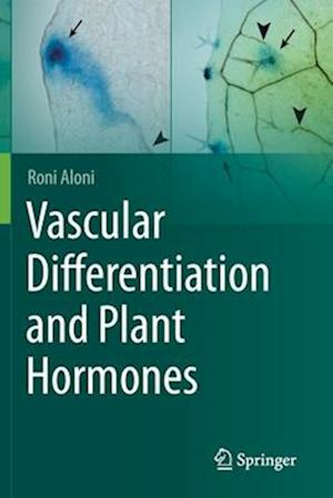 Vascular Differentiation and Plant Hormones