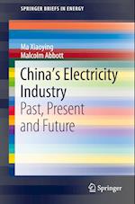 China’s Electricity Industry