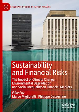 Sustainability and Financial Risks