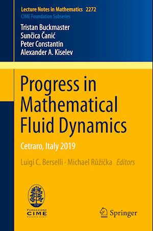 Progress in Mathematical Fluid Dynamics