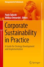 Corporate Sustainability in Practice : A Guide for Strategy Development and Implementation 