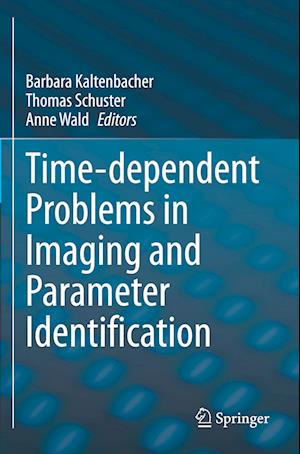 Time-dependent Problems in Imaging and Parameter Identification