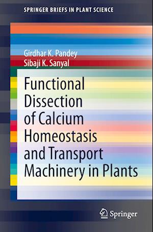 Functional Dissection of Calcium Homeostasis and Transport Machinery in Plants