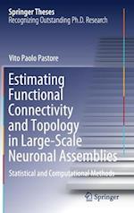 Estimating Functional Connectivity and Topology in Large-Scale Neuronal Assemblies