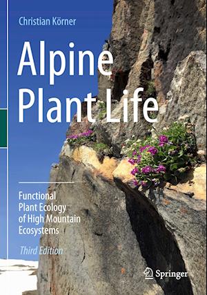 Alpine Plant Life