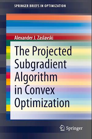 The Projected Subgradient Algorithm in Convex Optimization