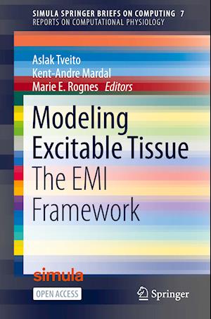 Modeling Excitable Tissue