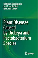 Plant Diseases Caused by Dickeya and Pectobacterium Species 