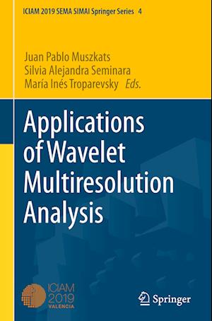 Applications of Wavelet Multiresolution Analysis