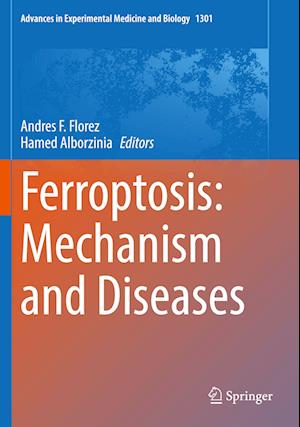 Ferroptosis: Mechanism and Diseases