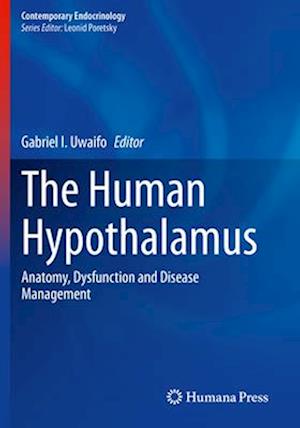 The Human Hypothalamus