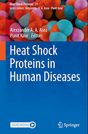 Heat Shock Proteins in Human Diseases