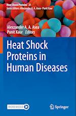 Heat Shock Proteins in Human Diseases