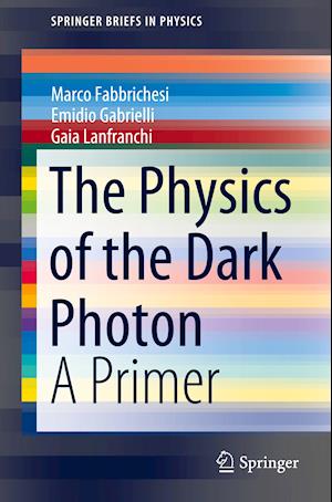 The Physics of the Dark Photon