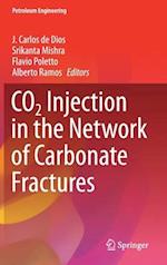 Co2 Injection in the Network of Carbonate Fractures