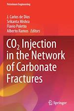 CO2 Injection in the Network of Carbonate Fractures 