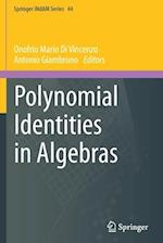Polynomial Identities in Algebras