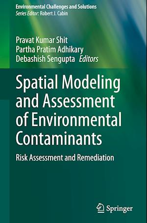 Spatial Modeling and Assessment of Environmental Contaminants