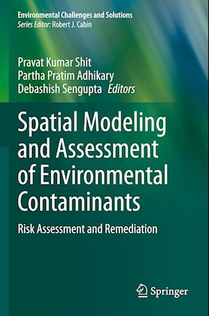 Spatial Modeling and Assessment of Environmental Contaminants