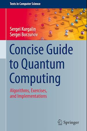 Concise Guide to Quantum Computing