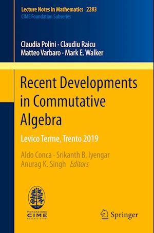 Recent Developments in Commutative Algebra