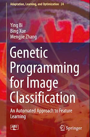 Genetic Programming for Image Classification