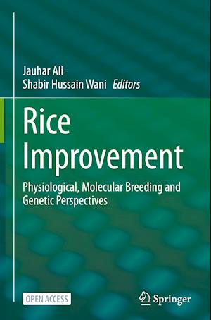 Rice Improvement