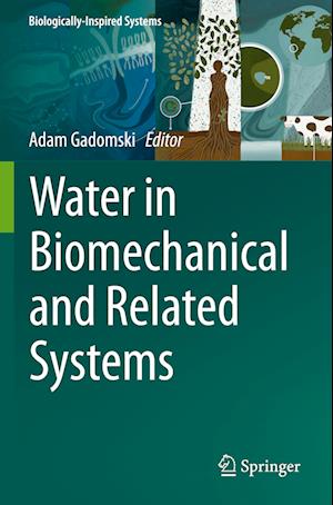 Water in Biomechanical and Related Systems