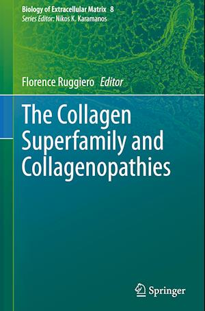 The Collagen Superfamily and Collagenopathies