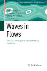 Waves in Flows