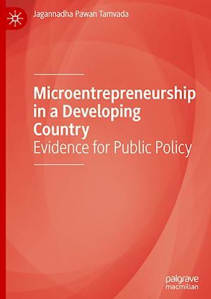 Microentrepreneurship in a Developing Country