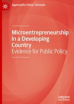 Microentrepreneurship in a Developing Country