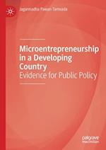 Microentrepreneurship in a Developing Country