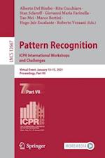 Pattern Recognition. ICPR International Workshops and Challenges