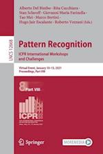 Pattern Recognition. ICPR International Workshops and Challenges